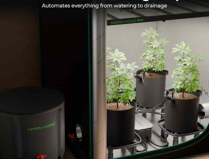 Die besten Pflanzen für dein Growbox Komplettset